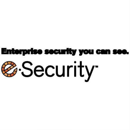 E Security