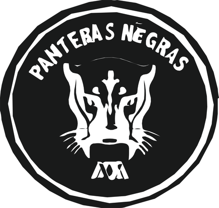 Panteras Negras
