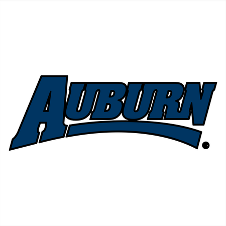 Auburn Tigers 75986