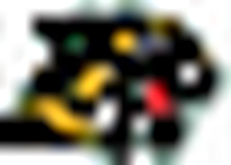 Northern Michigan Wildcats