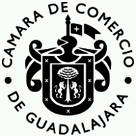 ayuntamiento de guadalajara