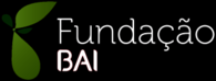 Fundacao BAI