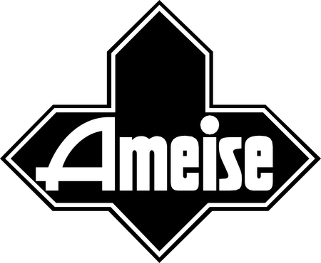 Ameise 4113