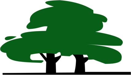 Edinaya Europa Holding