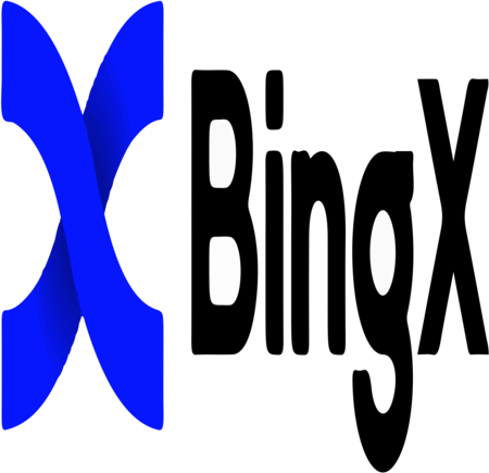 Bing X