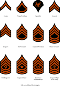 U. S. Army Enlisted Rank Insignia