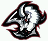 Buffalo Sabres