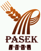 Pasek
