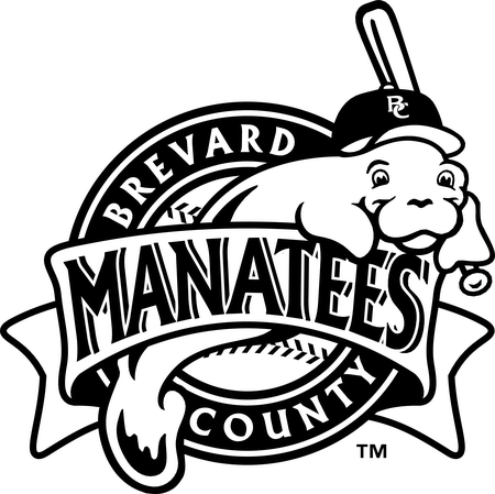 Brevard County Manatees