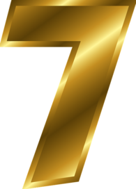 Gold Number 7