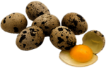 Quail Eggs