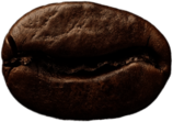 Single Roasted Coffee Bean