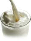 Milk Serving
