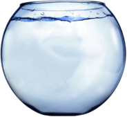 Fish Bowl