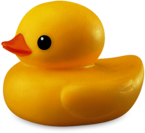 Plastic Duck