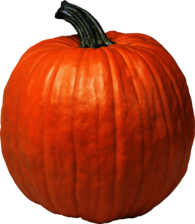 Single Pumpkin