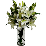 Lilies In A Vase