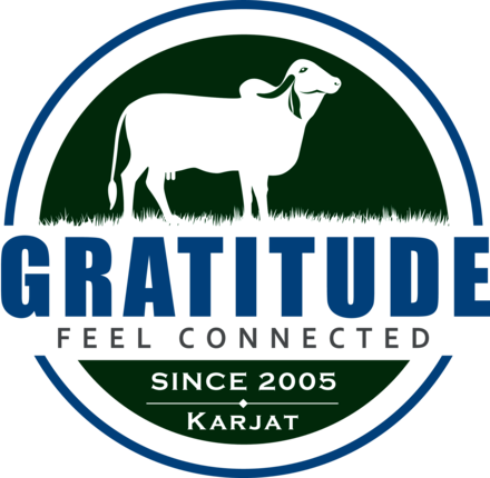Gratitude Pathak Farm