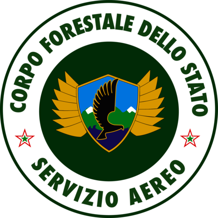 corpo forestale servizio aereo