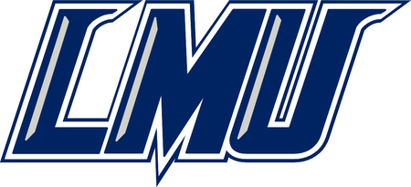 Lincoln Memorial Railsplitters