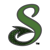 Shreveport Swamp Dragons