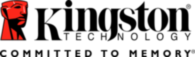 Kingston Technology  Mit Kopf Und Slogan