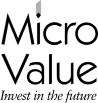 Micro Value