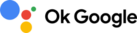 Ok Google