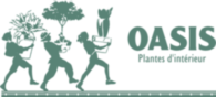 Oasis Plantes Interieur