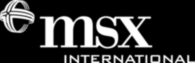 MSX International