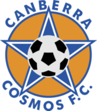 Canberra Cosmos