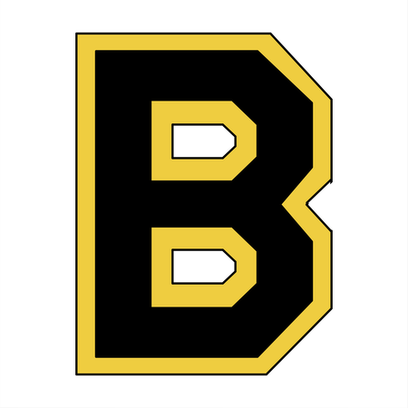 Boston Bruins