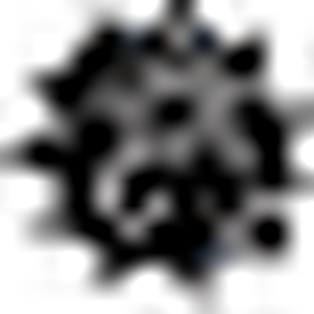 Southwestern Oklahoma State Bulldogs