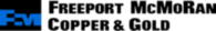 Freeport Mcmoran