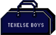 Texelse Boys
