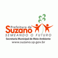 Suzano Papel e Celulose