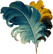 Victorian Feather Drawing Blue Yellow Black