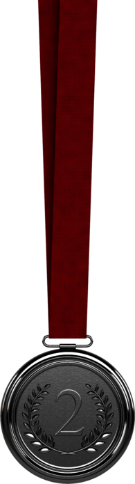 Silver Medal Second