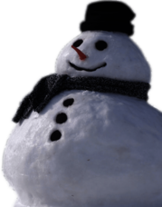 Snowman Real