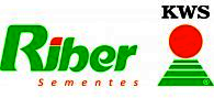 Riber Sementes