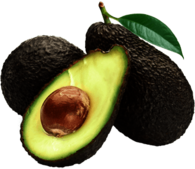 Avocado Open