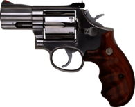 Small Revolver Handgun