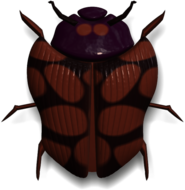 Ladybug Brown and Purple