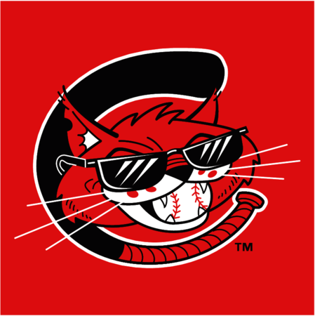 Charleston Alley Cats