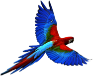 Flying Parrot Red Blue