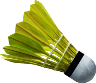 Badminton Birdie Yellow