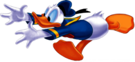 Donald Duck Trying To Catch Something