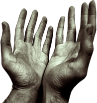 Hands Praying Open