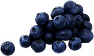 A Few Blueberries
