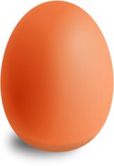 Single Egg